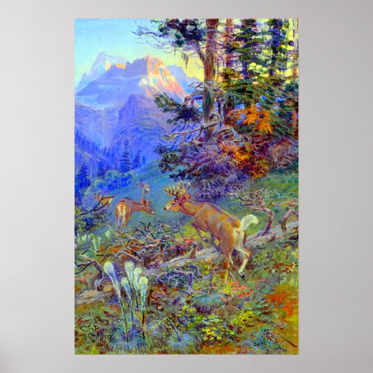 Poster Cerfs dans la forêt Cerf à queue blanche Charles R (Devant)