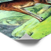 Poster Cerfs et rennes (Coin)