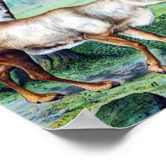 Poster Cerfs et rennes (Coin)