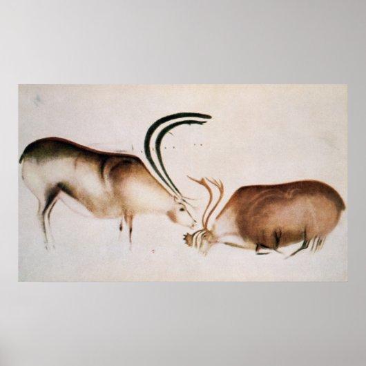 Poster Cerfs mâles et femelles (Devant)