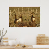 Poster Cerfs Mulets D30 (Cuisine)