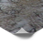 Poster Cerfs Mulets Mâles D21 (Coin)