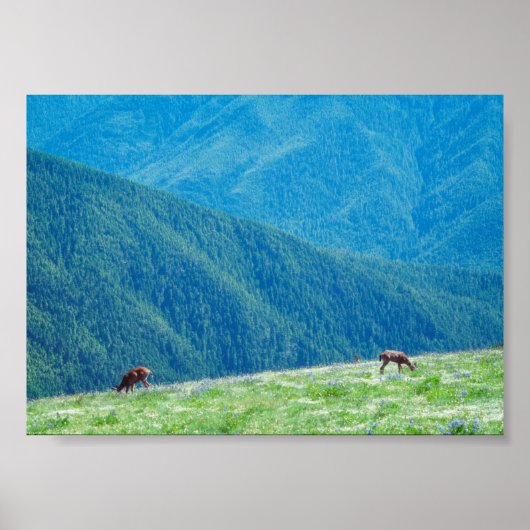 Poster Cerfs près des montagnes (Devant)