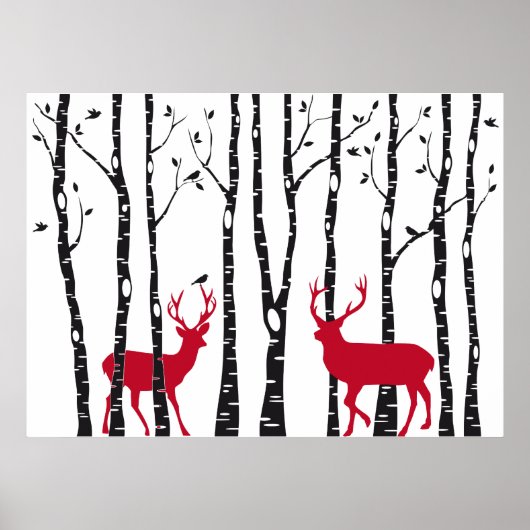 Poster Cerfs rouges dans la forêt de bouleaux (Devant)