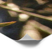 Poster Cerise de larme 2 (Coin)