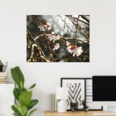 Poster Cerise de larme 2 (Bureau à domicile)