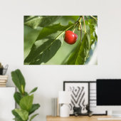 Poster cerise rouge (Bureau à domicile)
