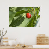 Poster cerise rouge (Cuisine)