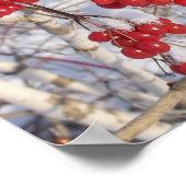 Poster Cerise Snow Cones (Coin)