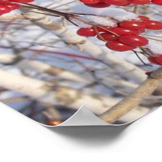 Poster Cerise Snow Cones (Coin)