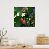 Poster Cerises en rouge (Cuisine)