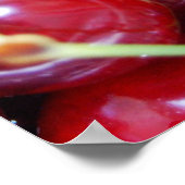 Poster Cerises fruits rouges aliments frais gros plan (Coin)
