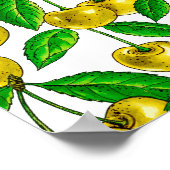 Poster Cerises jaunes sur blanc (Coin)