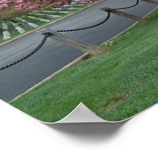 Poster Cerisier (Coin)