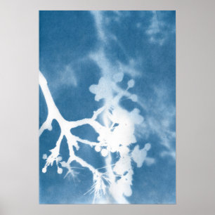 Poster Cerisier du Japon Cyanotype Inspiration Vintage