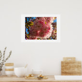 Poster Cerisier en fleurs (Cuisine)