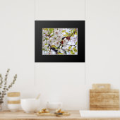 Poster Cerisier en fleurs : Hotate (Cuisine)