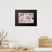 Poster Cerisier en pleurs ("Nara Ichiban-Zakura") (Cuisine)