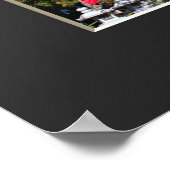 Poster Cerisier en pleurs ("Nara Ichiban-Zakura") (Coin)