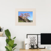 Poster Cerisier pleureur Matabei-Zakura (Bureau à domicile)