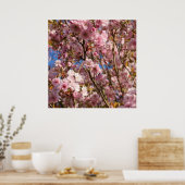 Poster Cerisier Rose Fleur de Printemps (Cuisine)