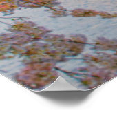 Poster Cerisiers en fleurs (Coin)