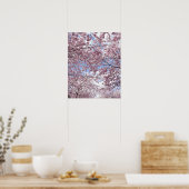Poster Cerisiers en fleurs (Cuisine)
