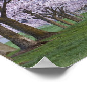 Poster Cerisiers en fleurs le long de la rivière Willamet (Coin)