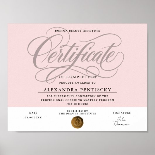 Poster Certificat de Beauté Professionnel Rose Blush Chic (Devant)