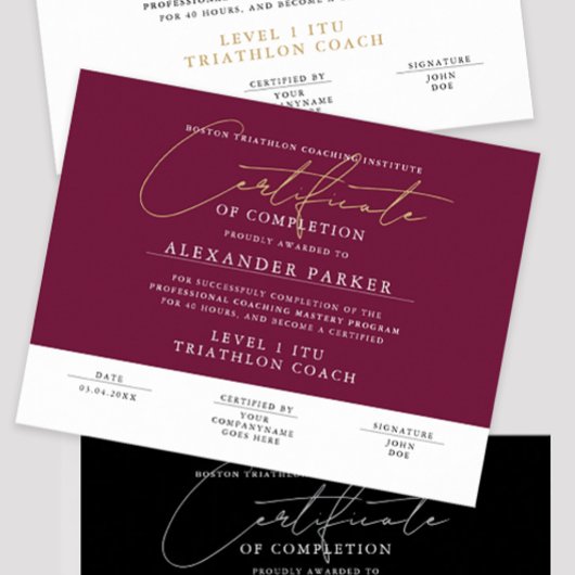 Poster Certificat de Récompense Bourgogne Écriture Modern