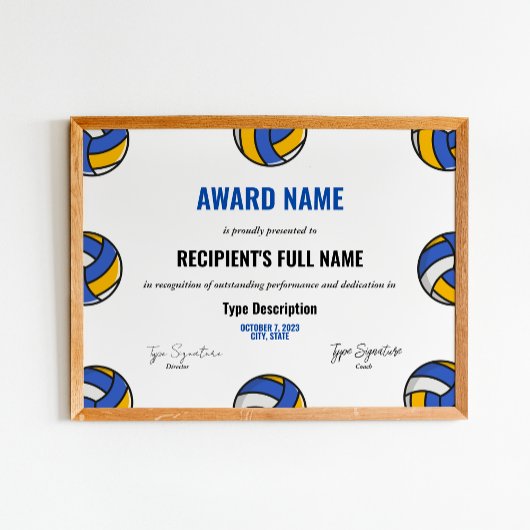 Poster Certificat d'excellence en volleyball