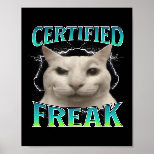 Poster Certifié Freak Funny Chat Mème Maudit Silly Starin (Devant)