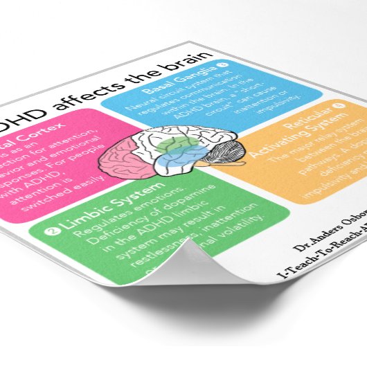 Poster Cerveau ADHD* (Coin)