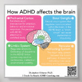 Poster Cerveau ADHD* (Devant)
