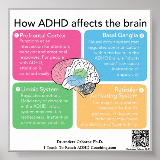 Poster Cerveau ADHD* (Devant)