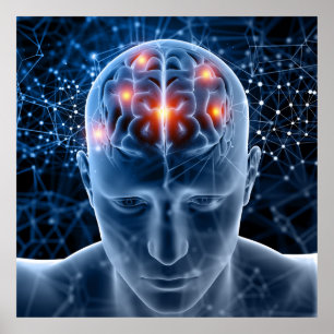 Poster Cerveau humain