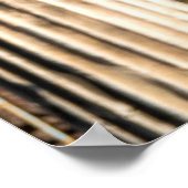 Poster César Augustus (Coin)