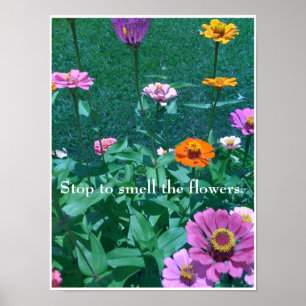 Poster Cessez de sentir les fleurs