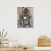Poster C'est à moi !! ... Singe Macaque Sauvage Thaïlanda (Cuisine)