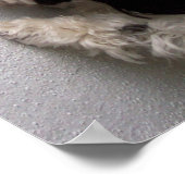 Poster C'est bien d'avoir des amis (Coin)