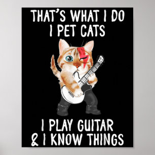 Poster C'est ce que je fais je caresse les chats je joue