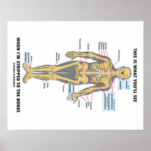 Poster C'est ce que vous verrez quand je suis coupé en os