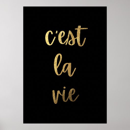 Poster C'est la vie (Devant)
