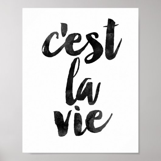 Poster C'est La Vie (Devant)