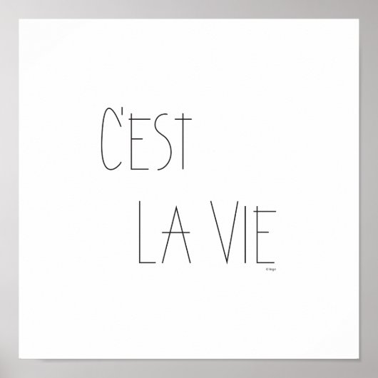 Poster C'est La Vie - C'est la Vie - Français (Devant)