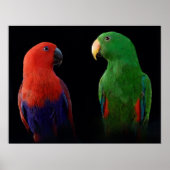 Poster C'est l'Amour ! (Devant)