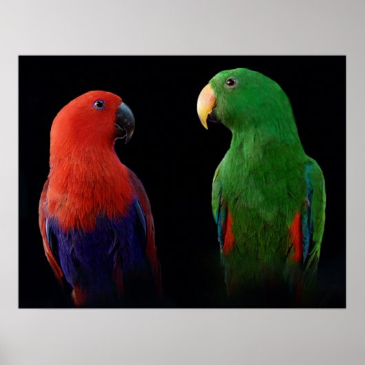 Poster C'est l'Amour ! (Devant)