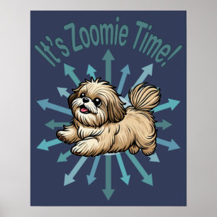 Poster C'est le moment de Zoomie Shih Tzu