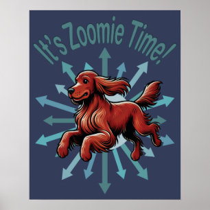Poster C'est l'heure de Zoomie, l'épagneul irlandais