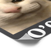 Poster C'est l'heure fou du chat drôle (Coin)